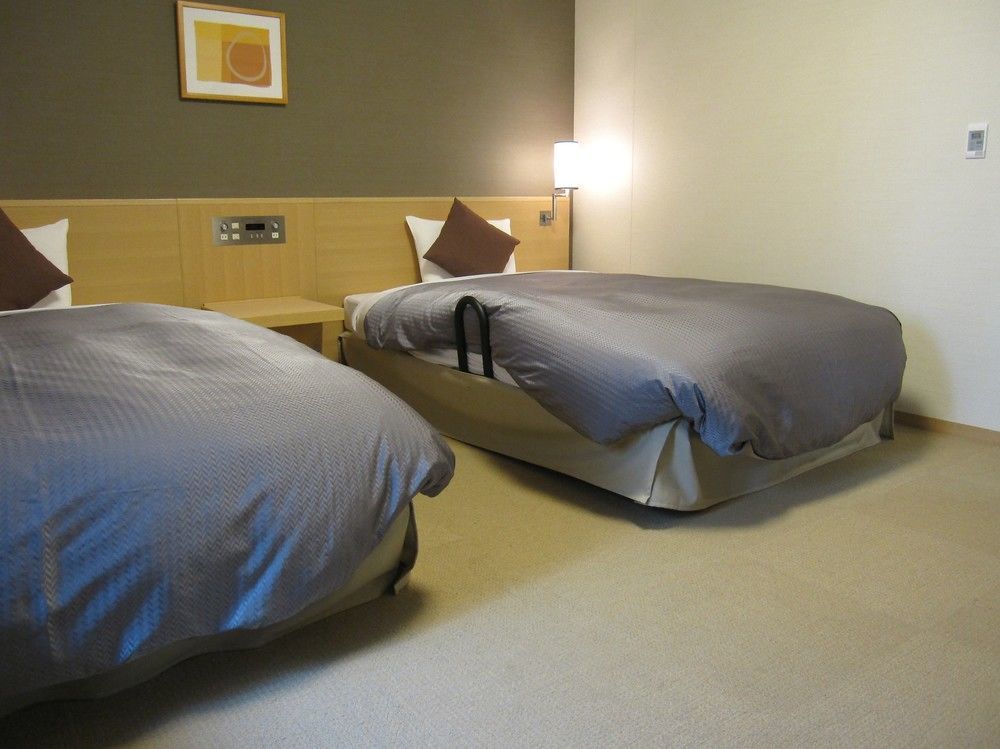 Daiwa Roynet Hotel 3*